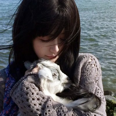 理性和感性